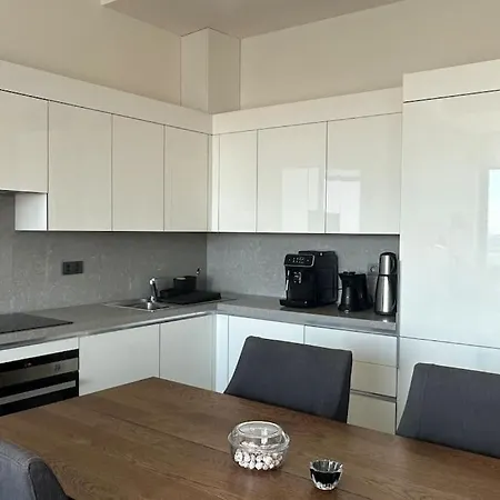 Ultra Luxurious 1bd,high Floor,with Balcony Apartamento *