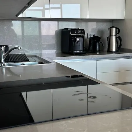 Apartment Ultra Luxurious 1bd,high Floor,with Balcony Istanbul